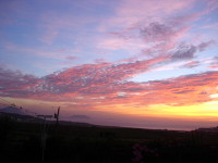 malinheadview_gallery-01.jpg